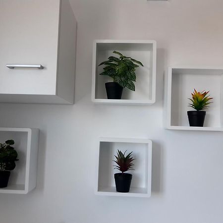 Joli Appartement, Piscine, Jacuzzi Sainte-Suzanne Exteriör bild